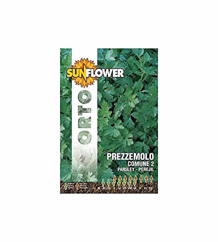 Sementi Prezzemolo Comune 2              Sunflower