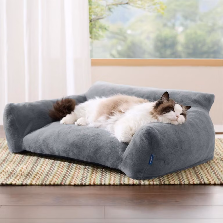 Cuccia per gatti, divano per cani, 76x51x25 cm, grigio scuro, lavabile in lavatrice, antiscivolo