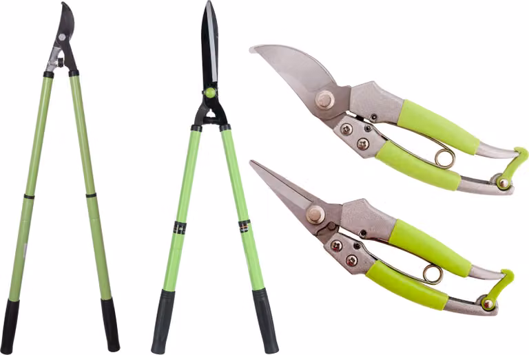 SERIE VERDE: forbici, cesoie da giardino, cesoie per fiori
