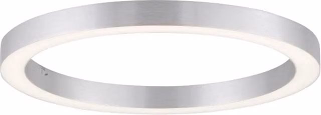 Plafoniera LED 30W 50cm grigia con telecomando Neuhaus
