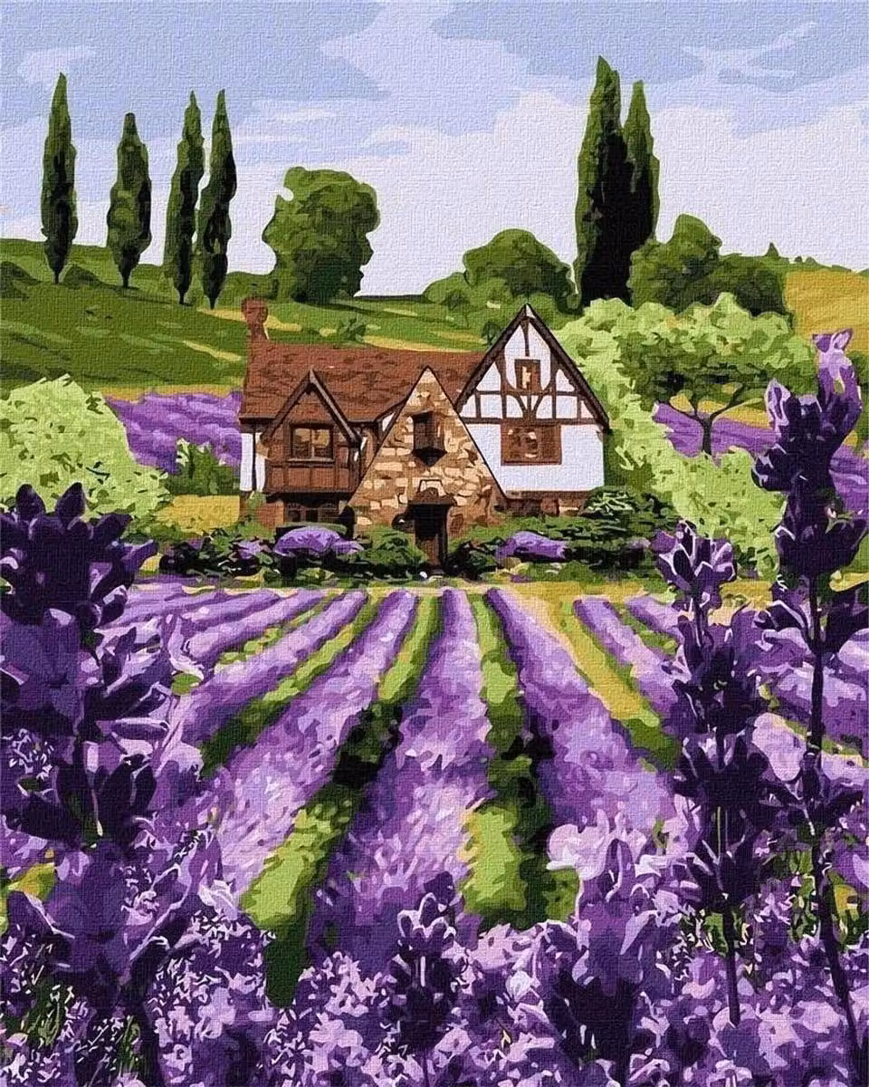 Dipingere con i numeri: Casetta alla lavanda, 40 x 50 cm