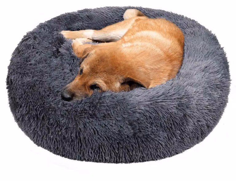 Cuccia a forma di ciambella, morbida, diametro 50 cm, per cani e gatti