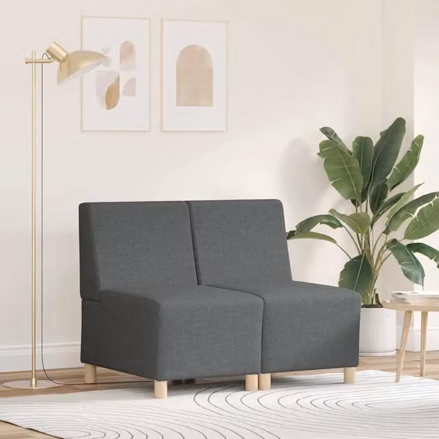 Unità di Divano Modulare Senza Braccioli 2 pz Grigio scuro 3399749