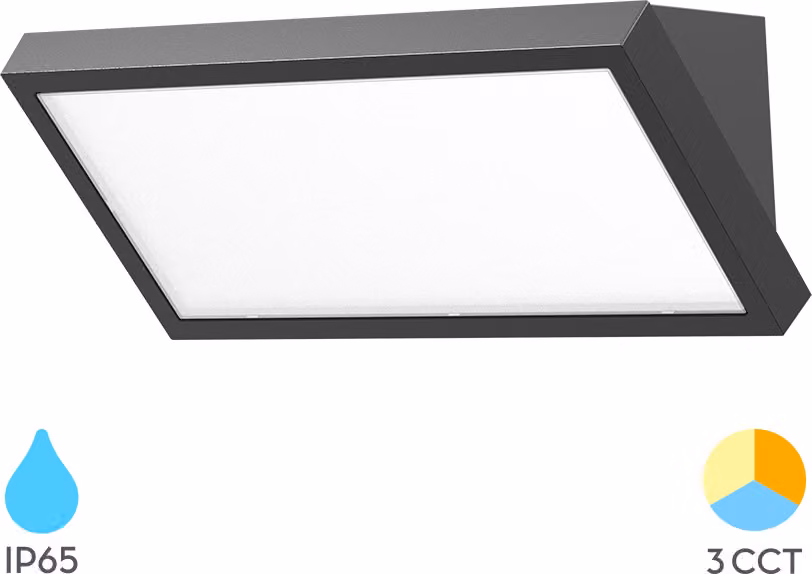 Braytron Lampada da parete a LED per esterni, lampada da parete, illuminazione da parete, facciata, 20 W, IP65, 3 in 1, CC