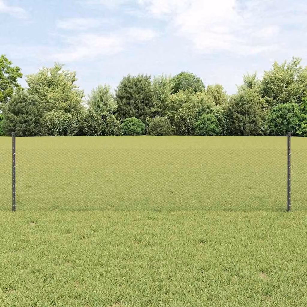 Maison Exclusive - Recinzione esagonale con pali, 100 x 0,5 m, acciaio rivestito in PVC