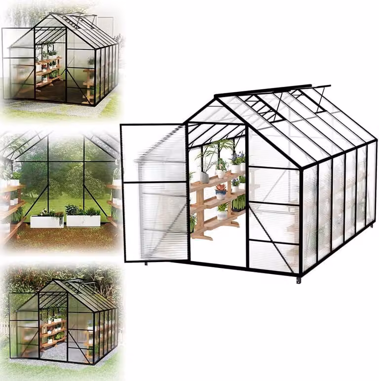 Serra in alluminio QEENTOE con fondamenta, dimensioni 365x250x205 cm, serra con lucernari, resistente alle intemperie e ai raggi UV, serra da giardino stabile, ideale per coltivare pomodori