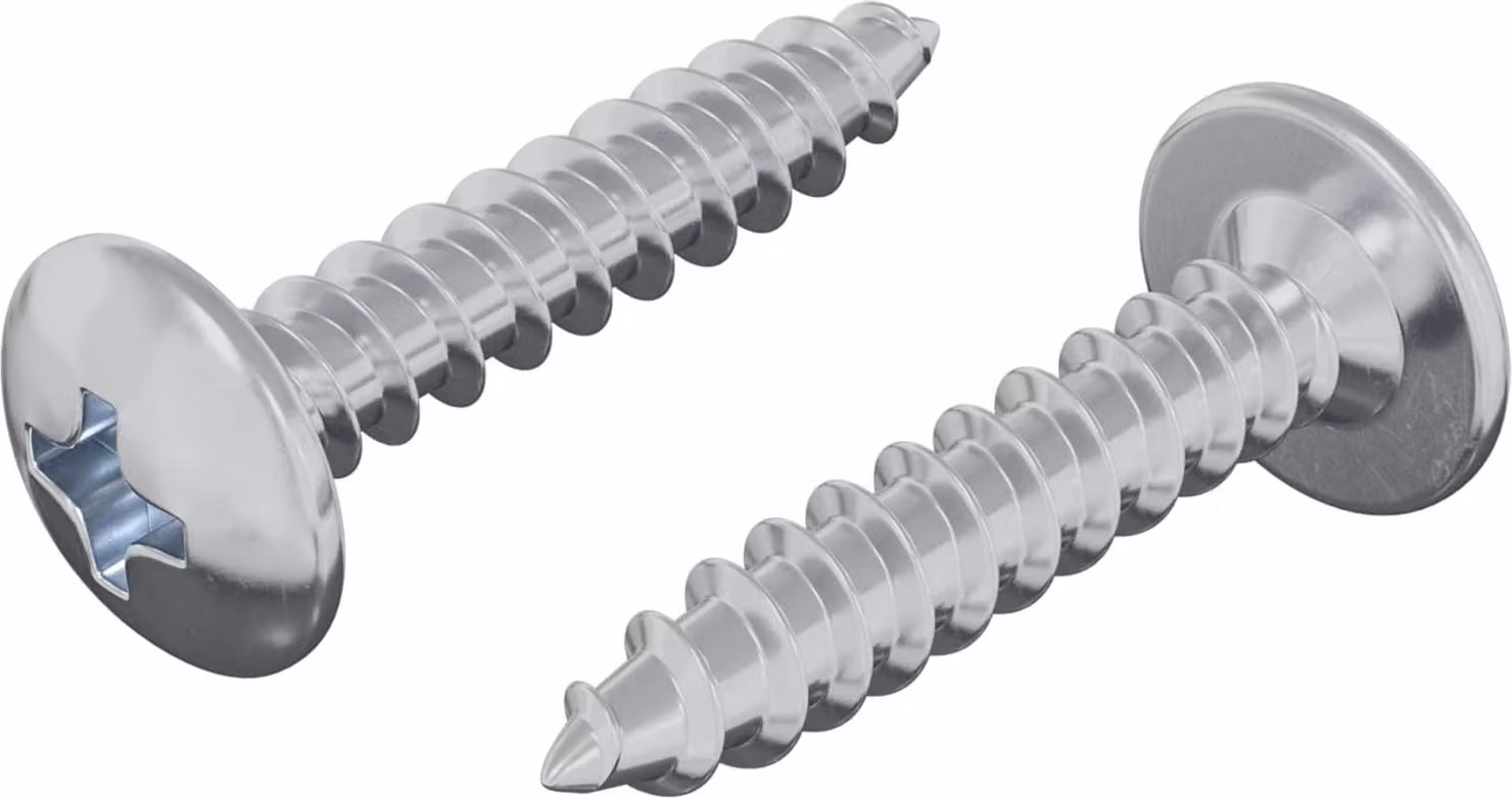 Chiodo autofilettante 2 pcs Zincato 4 x 20 mm Acciaio