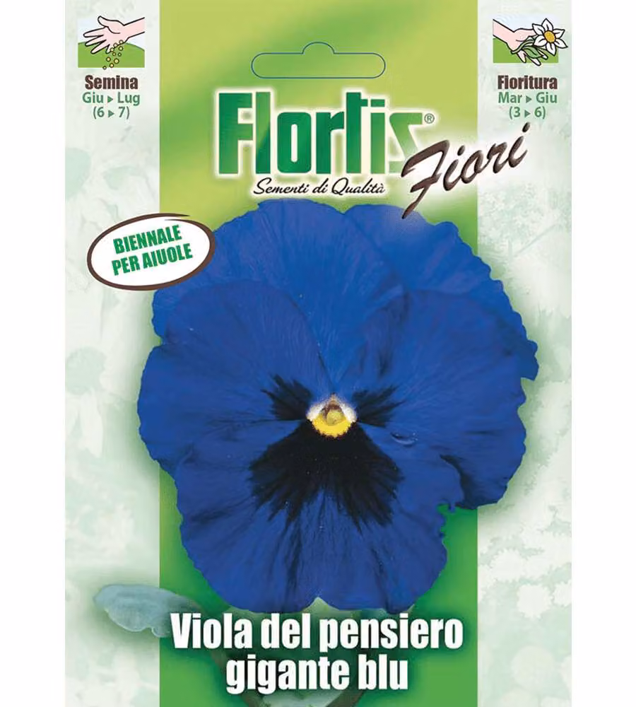 Viola del Pensiero Gigante Blu - Pianta Biennale 15 cm