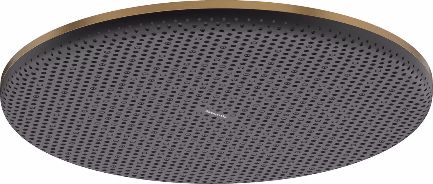 hansgrohe Raindance Alive S Douche de tête 300 1jet EcoSmart, 24521140, 24521140