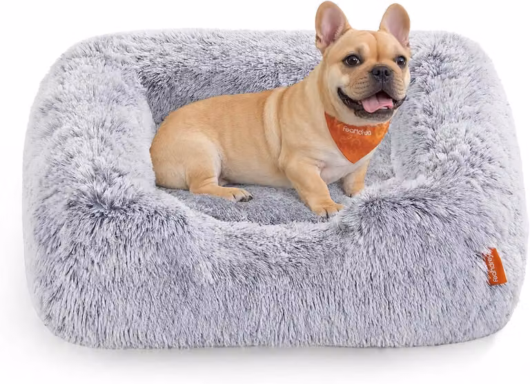 Cuccia per cani - cesta per cani - rivestimento morbido in peluche - 71 x 55 x 18 cm - bordi rialzati - copertina rimovibile