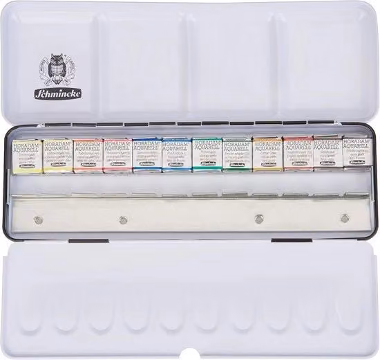 Set di Acquarello Multicolore da 12 Pezzi in Scatola Metallica per Artisti e Professionisti