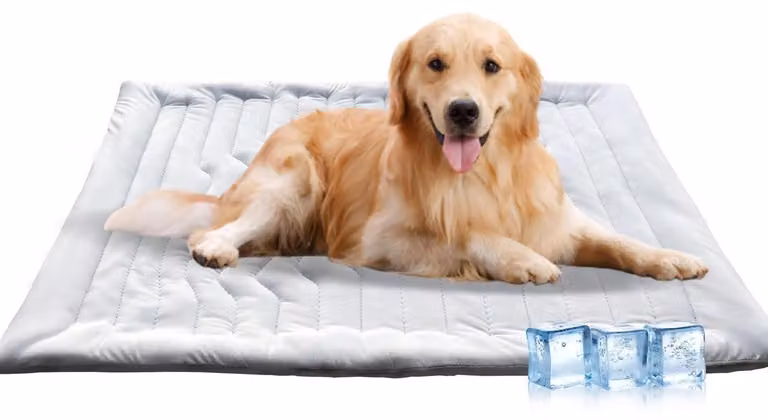 Tappetino refrigerante per cani, 102 x 150 cm, impermeabile, ideale per l'estate senza necessità di raffreddamento