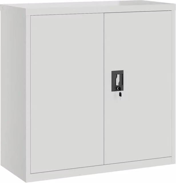Armadio per Ufficio a 2 Ante 90 cm Grigio in Acciaio CFW4884332