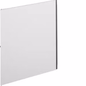 Anta, universale, sinistra, piena, RAL 9010, per armadio IP44, A: 650 x L: 1050 mm