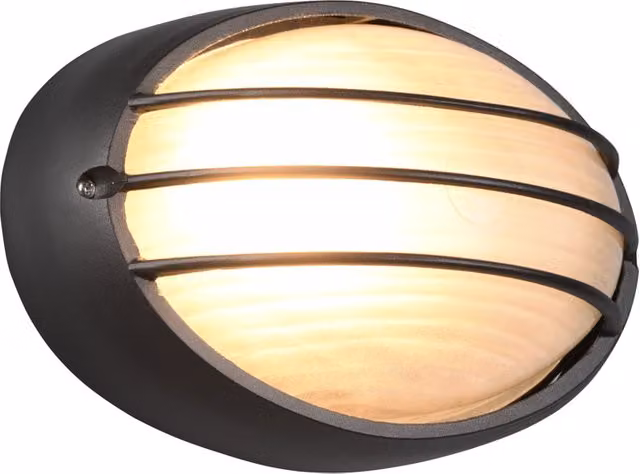 Applique da esterno Trio Leuchten nera in metallo e vetro con LED integrato