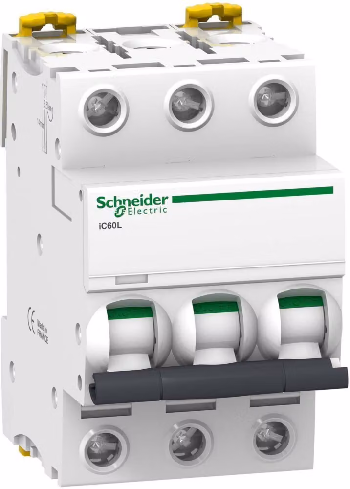 Interruttore LS Schneider Electric A9F94310
