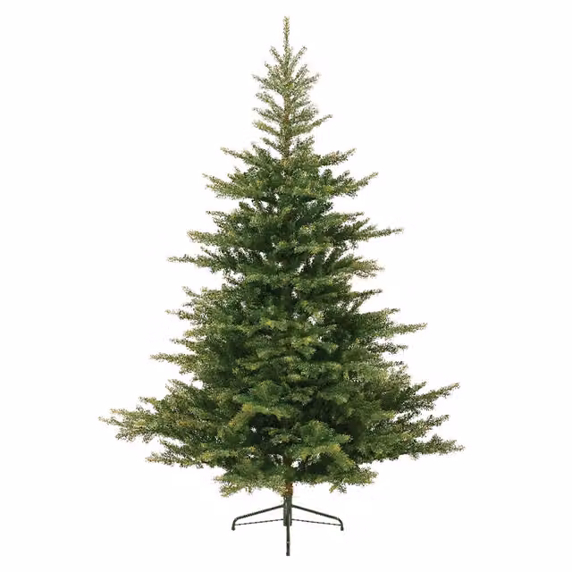 Albero di Natale Grandis Fir 172 x H 270 cm