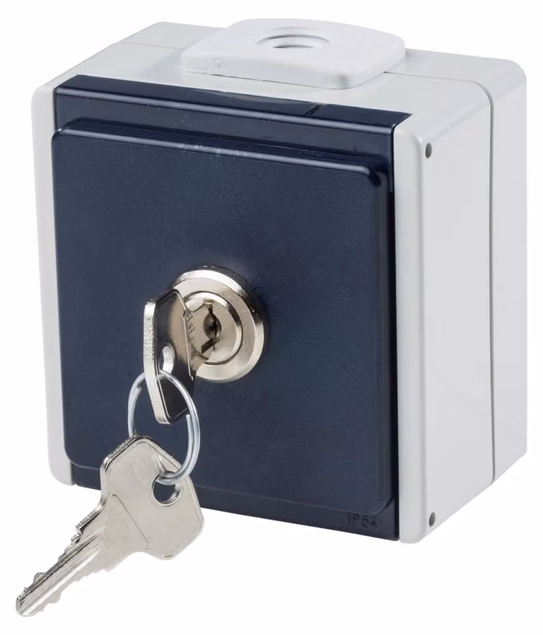 as - Schwabe 62461 Aufputz-Steckdose abschließbar IP54 Grau (62461)