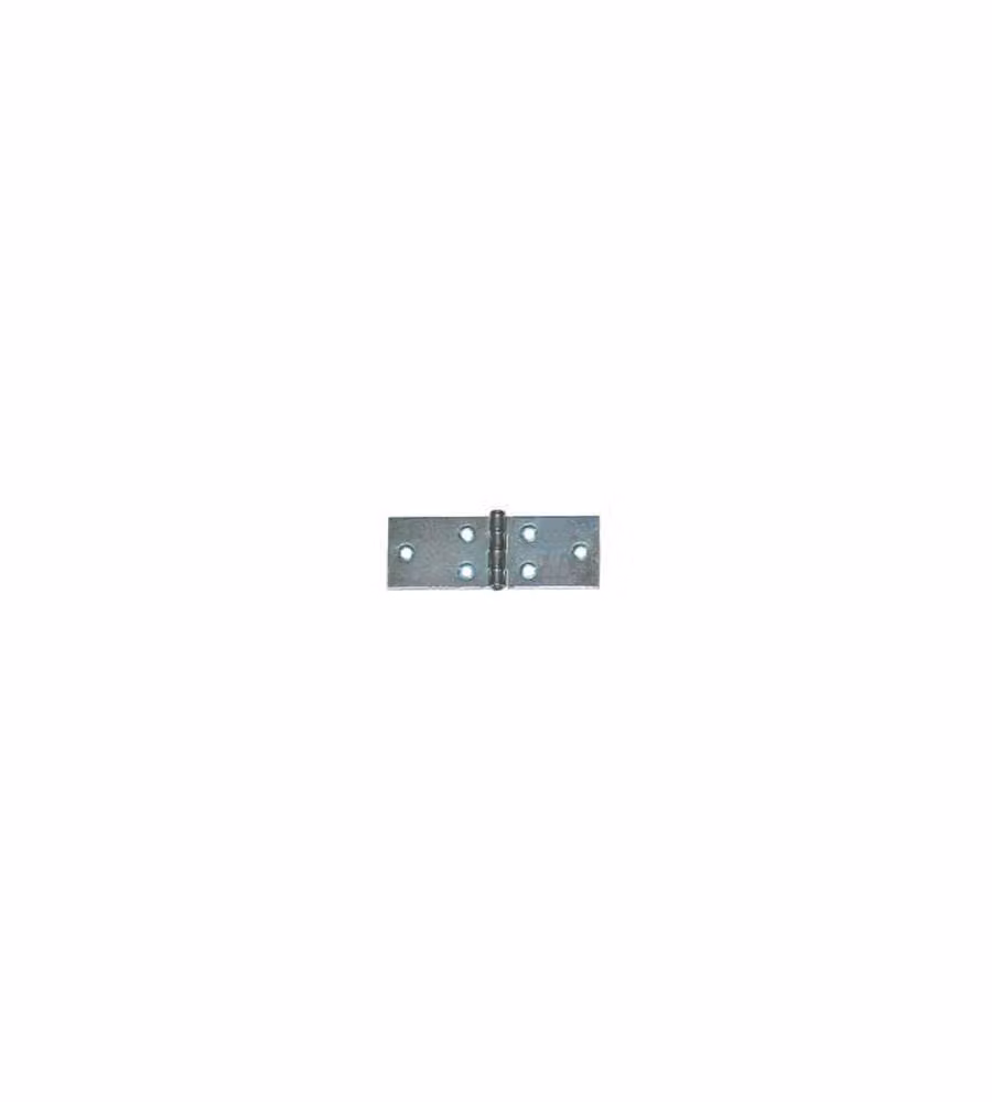 Cerniere lunghe 60 x 25 mm. - zincate - 4 pz.