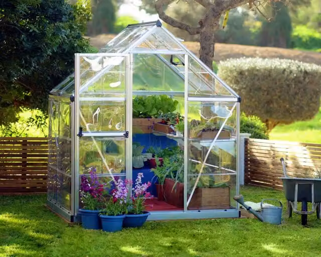 Serra da giardino in policarbonato Harmony CANOPIA trasparente colore argento L: 126 cm, P: 185 cm, H: 208 cm