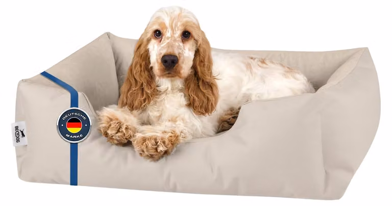 Cuccia per cani Cuscino per cani Letto per cani - Microfibra velluto e Cordura - Taglia M