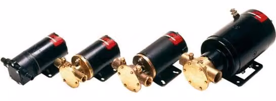 Johnson F4B-19 Pompa a girante 24V