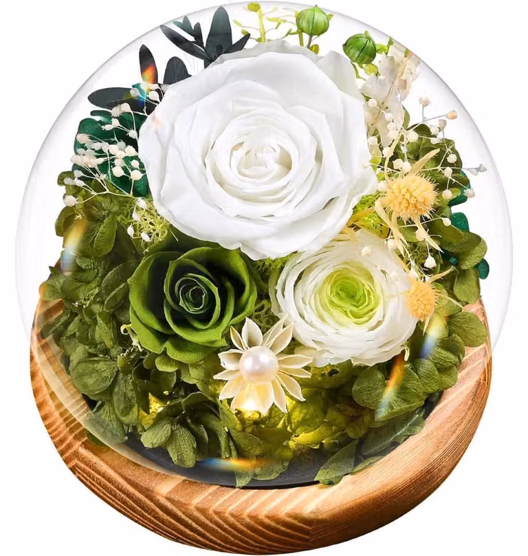 Rose "Ewige Infinity" in vaso con illuminazione | Fiori conservati con confezione regalo | Bianche | Decorazione e regalo