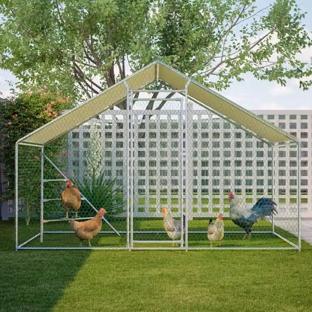 Recinto per polli in metallo 3x2m con tetto impermeabile e area vasta, con scaletta integrata e porta con chiusura di sicurezza