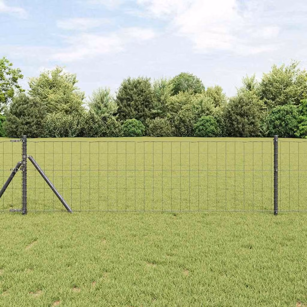 Maison Exclusive - Recinzione con Posto Grigio 0,6 x 50 m Acciaio e PVC