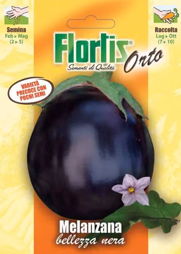 Semi di Melanzana Nera in busta