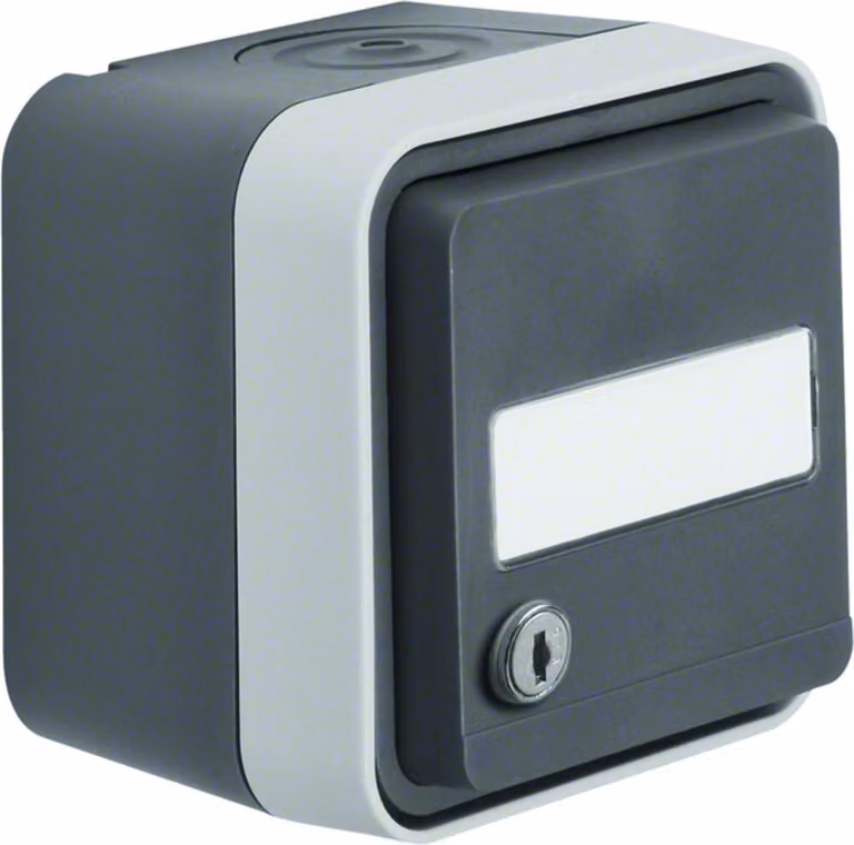Berker 47893505 Presa di corrente SCHUKO con coperchio incernierato da superficie grigio/grigio chiaro opaco Berker W.1