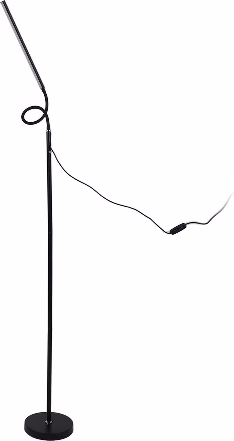 Lampada da terra LED, lampada da ufficio in piedi, lampada a collo d'oca in piedi, luce di lettura in piedi, lampada da terra di lettura, lampada da terra per il soggiorno