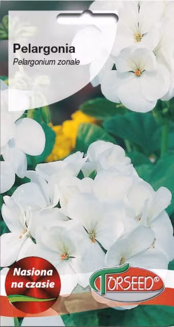 Pelargonium - Pelargonium bianco F2 10g