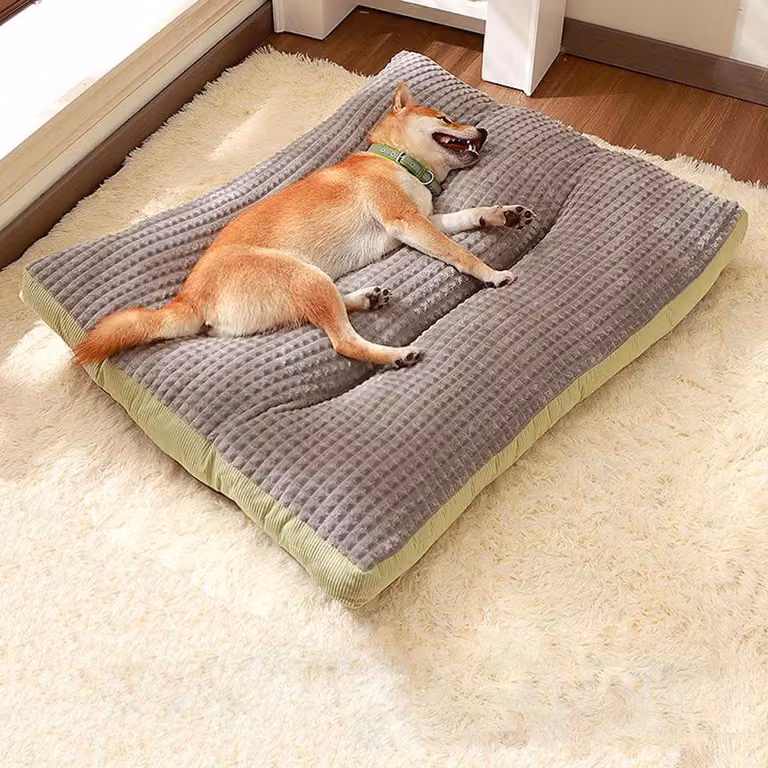 Cuccia per cani con fondo antiscivolo, rivestimento removibile e lavabile, colore verde, taglia M
