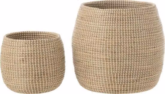 Alghe marine in plastica - Naturali - Bianche - Set da due pezzi