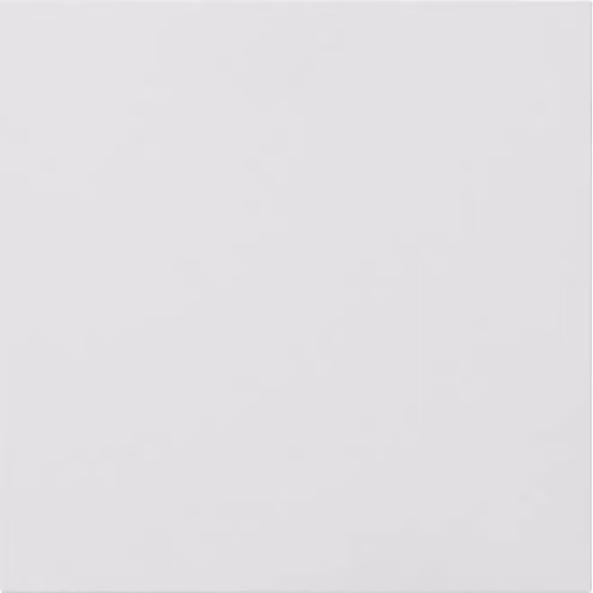 Gira Pannello frontale per modulo informativo/cieco Sistema 106 Bianco traffico (laccato) 5554902
