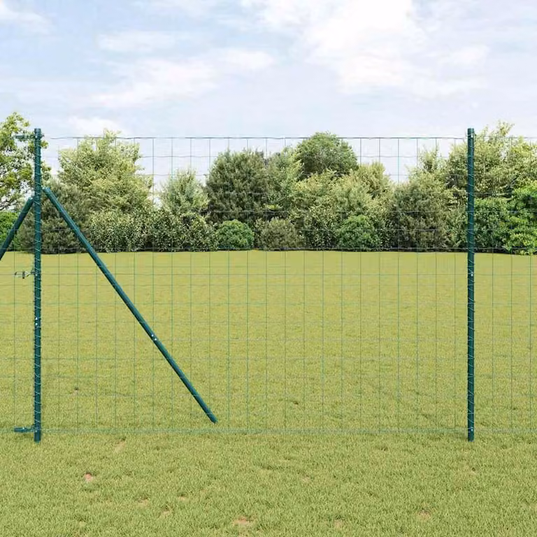 Maison Exclusive - Recinzione in ferro rivestito in PVC, verde, dimensioni 1,6 x 10 metri