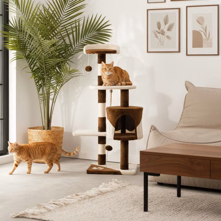 belviona tiragraffi per gatti, tiragraffi compatto da 112 cm con palline, sisal e grotta di coccole, marrone/beige