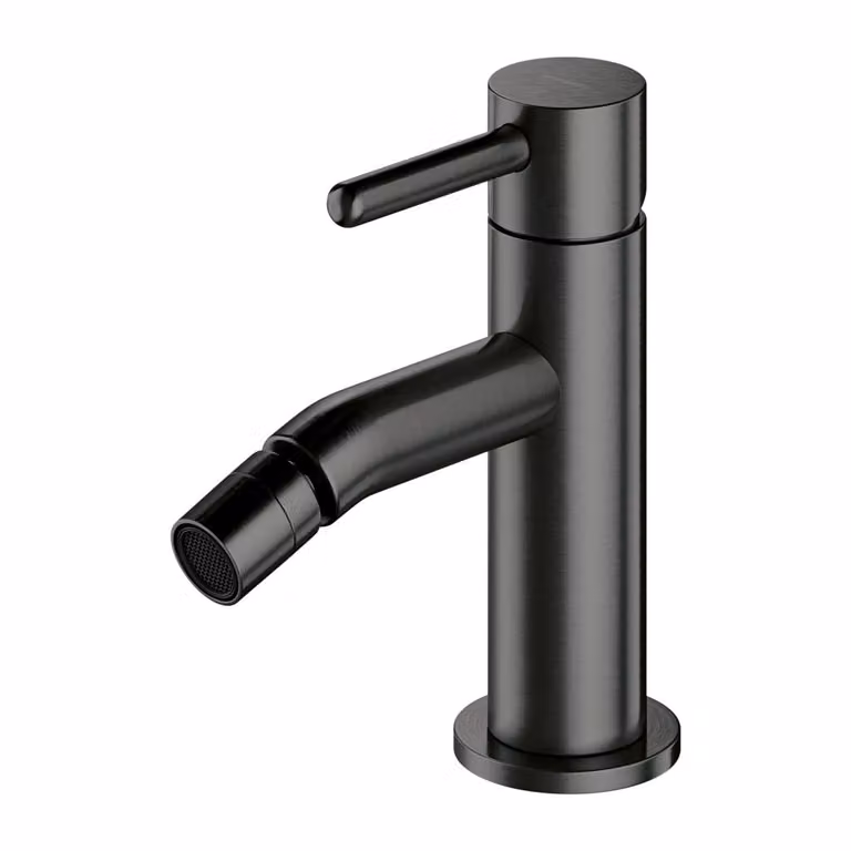 Omnires Y Y1220GR, miscelatore per bidet, colore grafite