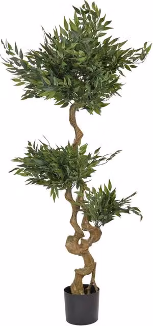 Pianta artificiale Ruscus verde in vaso di plastica e cemento BELIANI, Altezza: 166 cm