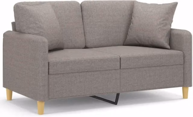 Divano | Divano da soggiorno | Sofa a 2 Posti con Cuscini Tortora 120 cm in Tessuto
