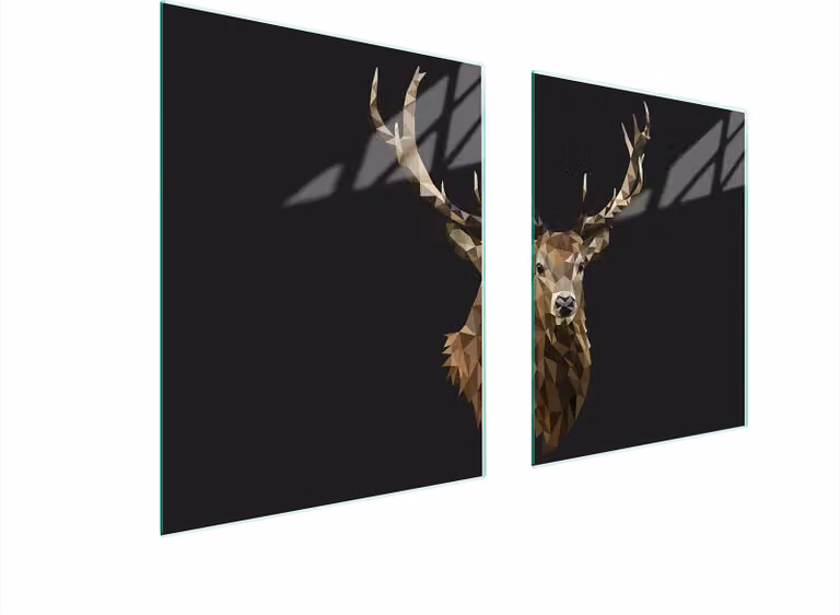 Piastra Di Protezione In Vetrina Per Levi 85X52 Hirsch