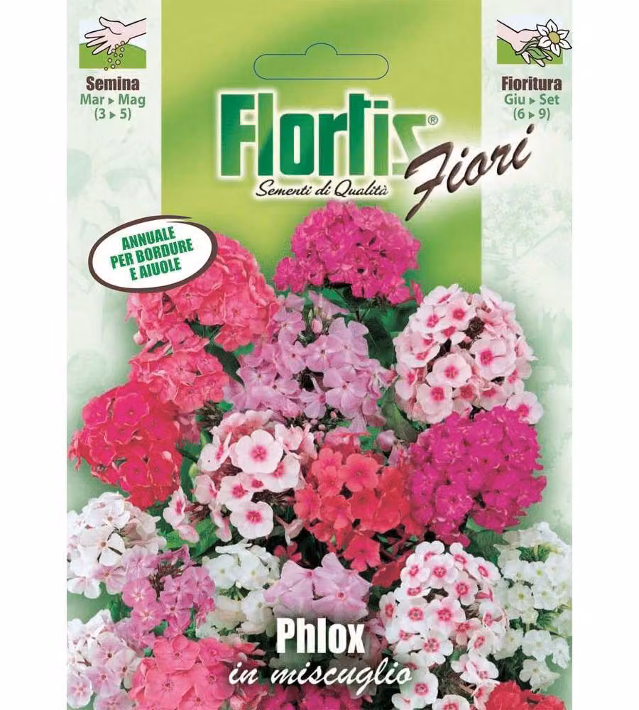 Mix di fiori Phlox - Pianta annuale per bordure - 20-40 cm