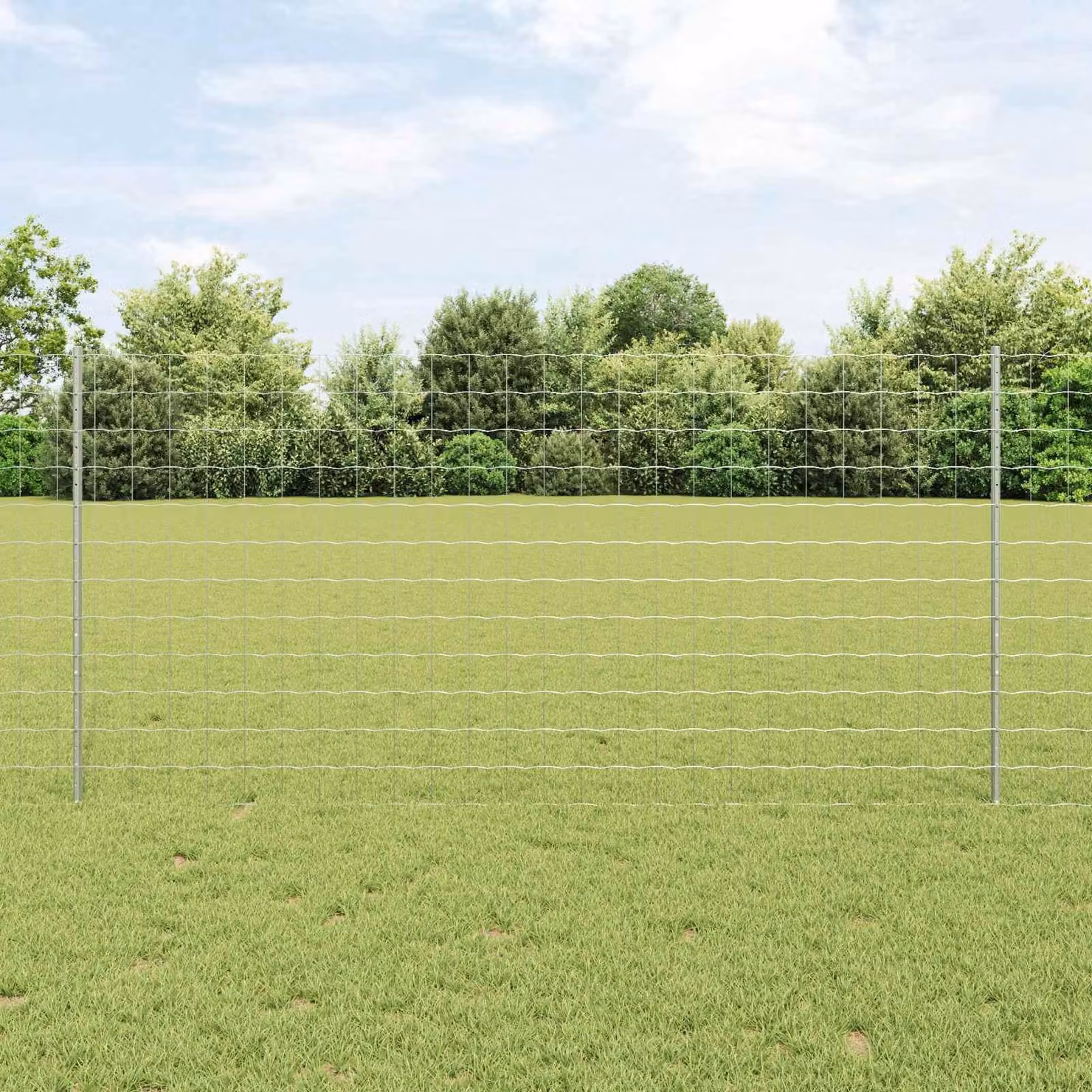 Maison Exclusive - Recinzione con Posto Argento 1,2 x 10 m Acciaio