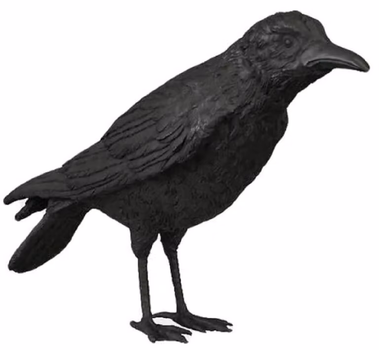 Casa Padrino Luxury Bronze Sculpture Bird Raven Black 61 x 15 x H. 30 cm - Decorazione Figurine - Decorazione Soggiorno - Decorazione Scrivania