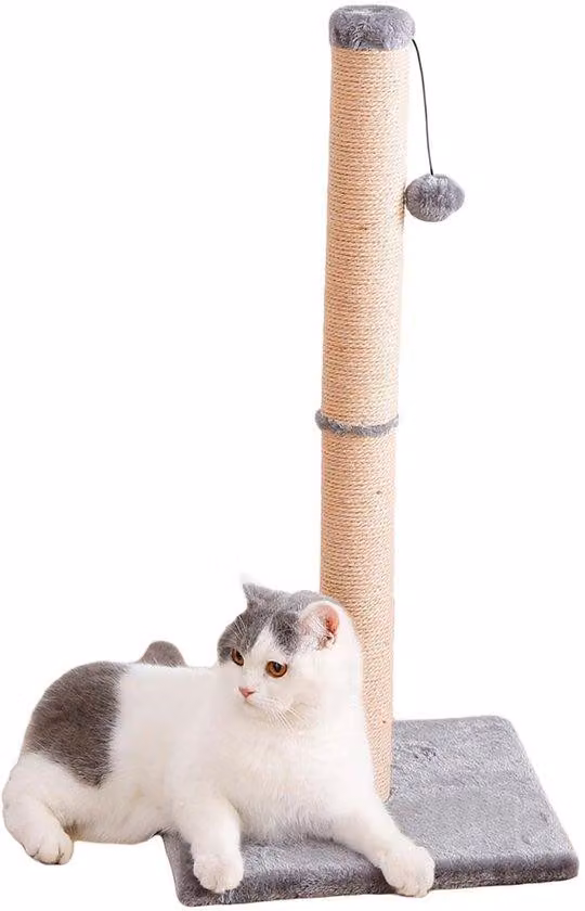 Ibenzoa® Albero per graffiare per gatti e gattini – 75 x 35 x 35 cm, palo in sisal naturale con soffice pallina in peluche, base stabile per arrampicarsi e curare gli artigli