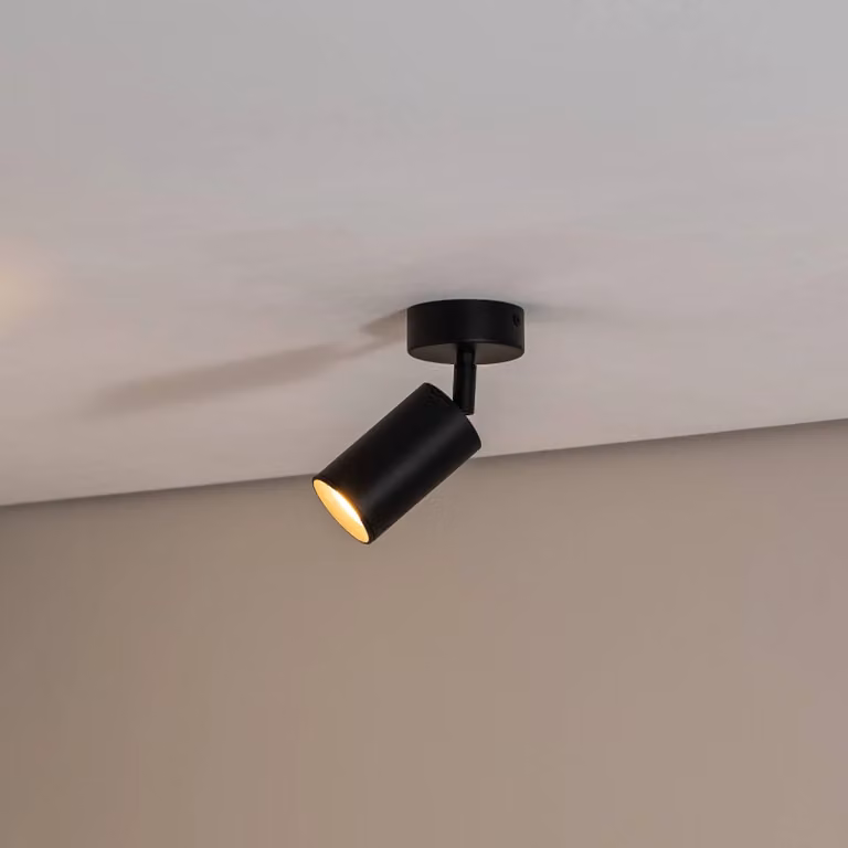 Faretto da soffitto Sado nero acciaio, orientabile a 1 luce rotondo Argon, dimmerabile, Nero, Soggiorno / Sala da pranzo, Metallo, Moderno, Faretto alogeno
