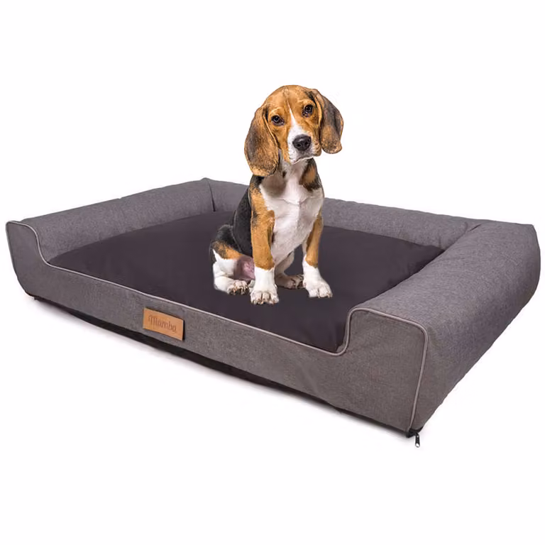 Letto grande per cani divano per cani cuscino per cani cestino lavabile - colore grigio - tappetino per cani misura L - 83x50 cm