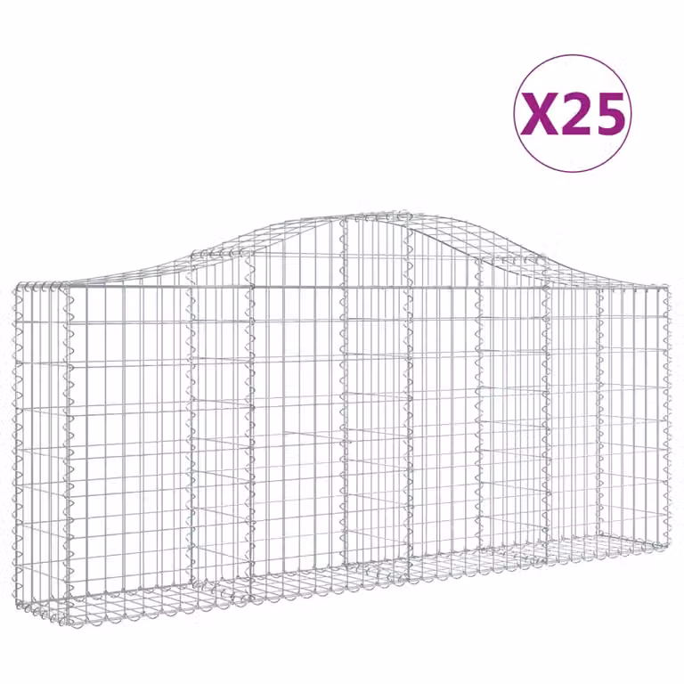 Cesti Gabbioni ad Arco 25 pz 200x30x80/100 cm Ferro Zincato
