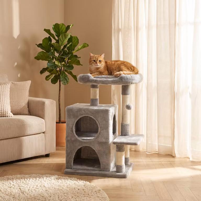 Tiragraffi belviona con 2 cucce e pallina, tiragraffi per gatti da 80 cm con sisal e superficie di riposo